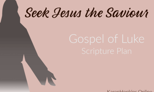 Seek Jesus the Saviour in the Gospel of Luke