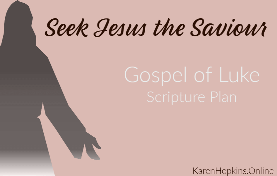 Seek Jesus the Saviour in the Gospel of Luke