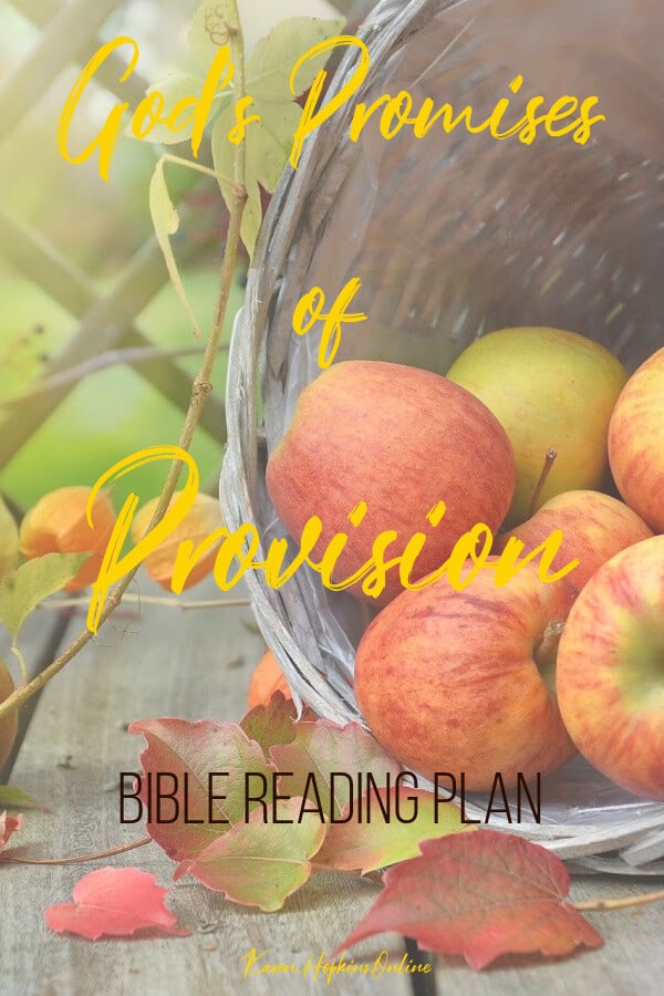 Promises of God's Provision Bible Reading Plan