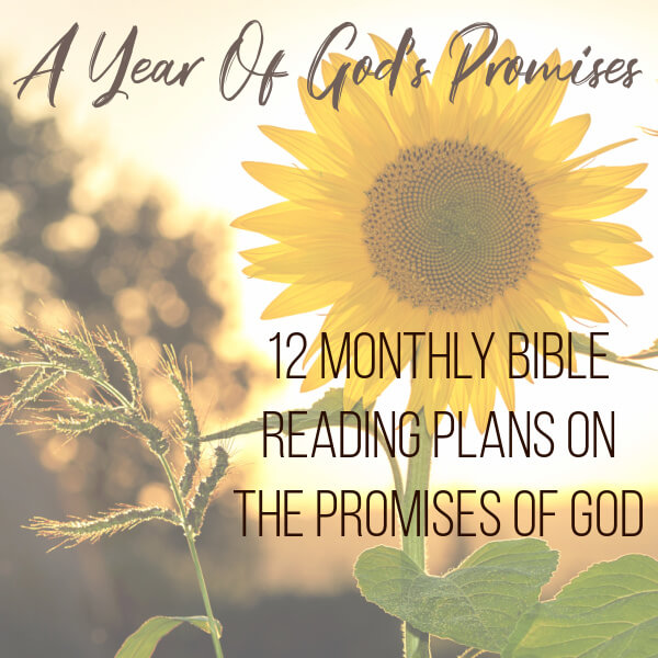 Promises of God Reading Plans